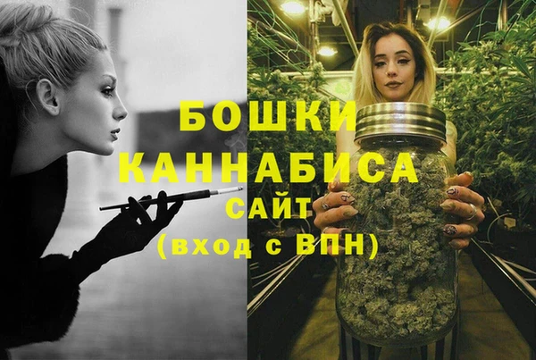 a pvp Каменногорск