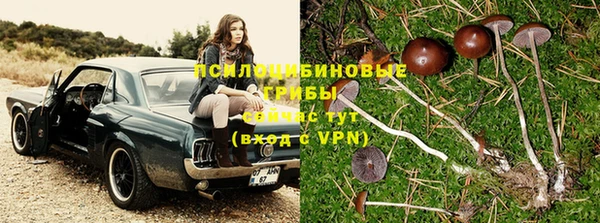 дмт Каменка