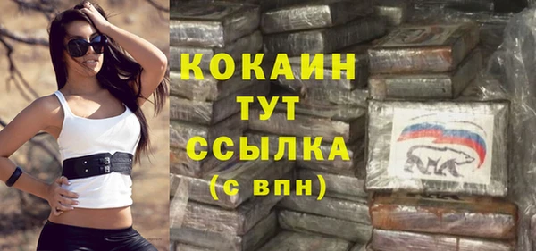 дмт Каменка