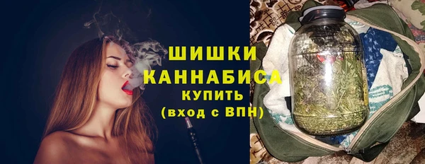 дмт Каменка