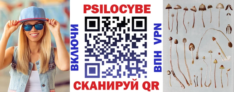 Купить где  Змеиногорск  Галлюциногенные грибы MAGIC MUSHROOMS 